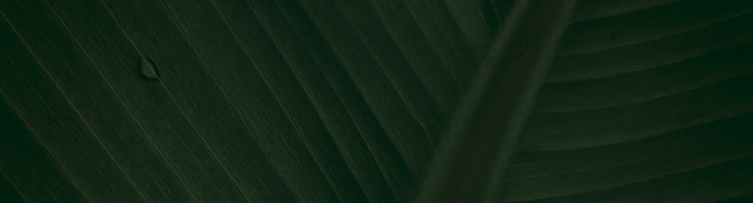 Кебаб из говядины в лепешке